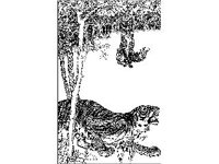 DSGN1294.jpg