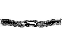 DSGN1291.jpg