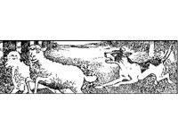 DSGN1289.jpg