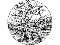 DSGN1277.jpg