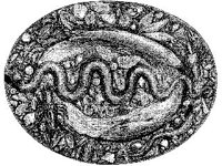 DSGN1270.jpg