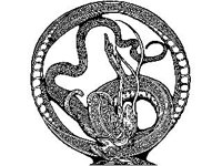 DSGN1319.jpg