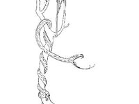 DSGN1315.jpg