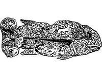 DSGN1391.jpg