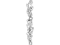 DSGN1390.jpg