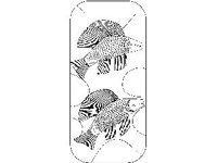 DSGN1385.jpg