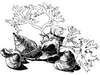 DSGN1371.jpg