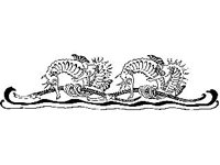 DSGN1369.jpg