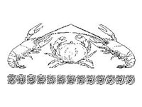 DSGN1361.jpg