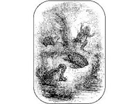 ANML0014.jpg