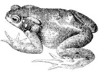 ANML0012.jpg