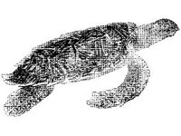 ANML0007.jpg
