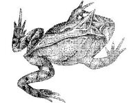 ANML0004.jpg