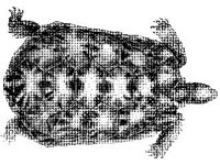 ANML0003.jpg