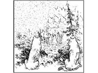 ANML0239.jpg