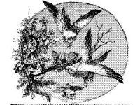 ANML0232.jpg
