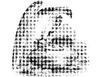 ANML0225.jpg
