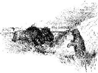 ANML0208.jpg