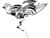 ANML0204.jpg