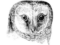 ANML0194.jpg