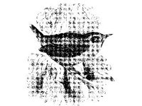 ANML0193.jpg