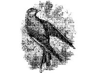 ANML0190.jpg