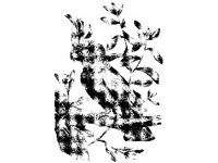 ANML0189.jpg