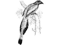 ANML0188.jpg
