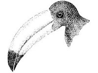 ANML0183.jpg