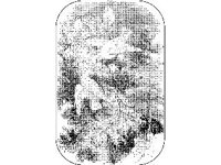 ANML0178.jpg