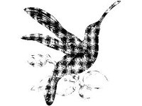 ANML0177.jpg
