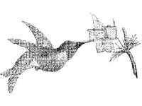 ANML0175.jpg