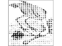 ANML0174.jpg