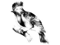 ANML0154.jpg