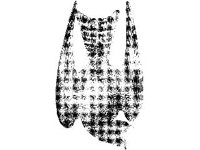 ANML0148.jpg