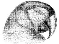 ANML0144.jpg