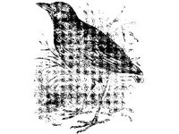 ANML0139.jpg