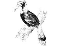 ANML0136.jpg