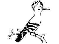 ANML0133.jpg