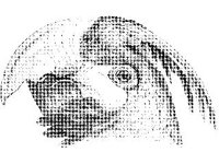ANML0131.jpg