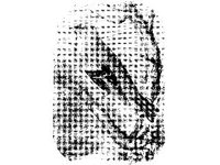 ANML0129.jpg
