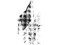 ANML0126.jpg