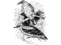 ANML0123.jpg