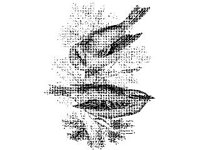 ANML0121.jpg