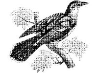 ANML0120.jpg