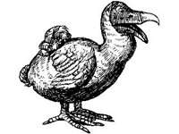ANML0115.jpg