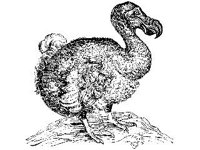 ANML0114.jpg