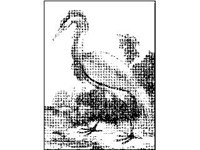 ANML0113.jpg