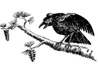 ANML0109.jpg