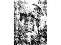ANML0108.jpg